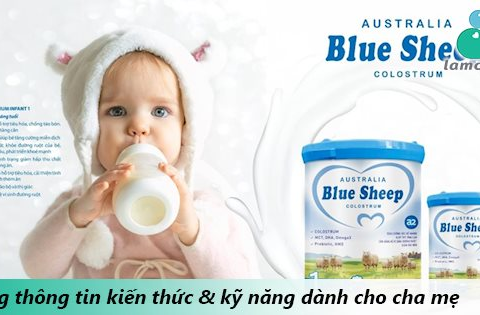 BLUE SHEEP COLOSTRUM – Bổ sung MCT giúp bé tăng cân hiệu quả