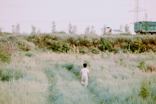 Nuôi dạy bé trai giống như trồng cây, cha mẹ cần “chăm bón 6 loại dưỡng chất” này - Ảnh 2.