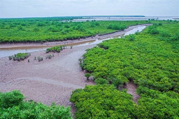 Vụ học sinh Hà Nội tử vong trong chuyến trải nghiệm bắt ngao: Khi đoàn đến, không báo cáo chính quyền - Ảnh 1.