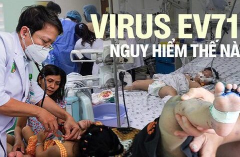 Virus gây bệnh tay chân miệng đã trở lại: EV71 nguy hiểm thế nào?