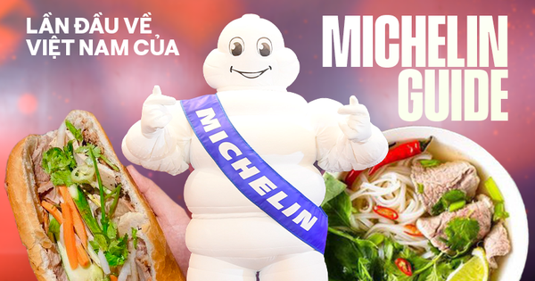 Những câu hỏi dành cho Michelin Guide