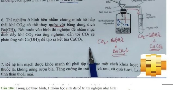 Lộ đề Sinh tốt nghiệp THPT 2021: Lợi dụng lỗ hổng “tuồn” đề thi cho người nhà