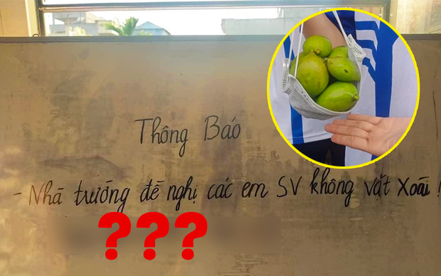 Không hổ là trường nhà người ta, Ngoại thương hái xoài xanh trong khuôn viên để tặng cho sinh viên - Ảnh 5.