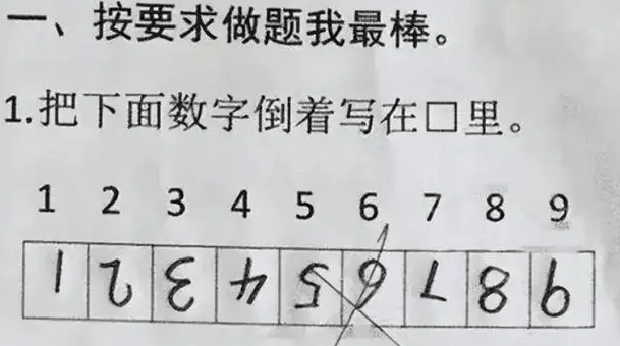 Được yêu cầu viết đoạn văn miêu tả ngắn, học sinh tiểu học ngoáy bút 2 dòng mà giáo viên cười ngặt nghẽo - Ảnh 2.