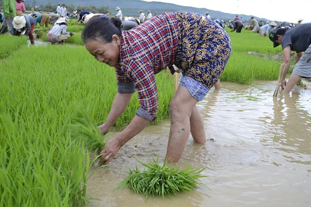 Câu đố: “Đập đập, trói trói/ Bỏ đói một ngày/ Hôm sau đi đày/ Đặt cho tên khác”, là hành động gì? - Ảnh 1.