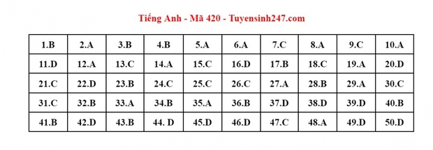 Cập nhật đáp án môn Tiếng Anh kỳ thi tốt nghiệp THPT 2023 - Ảnh 4.