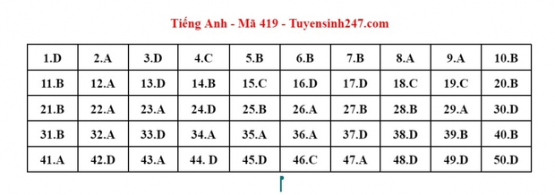 Cập nhật đáp án môn Tiếng Anh kỳ thi tốt nghiệp THPT 2023 - Ảnh 3.