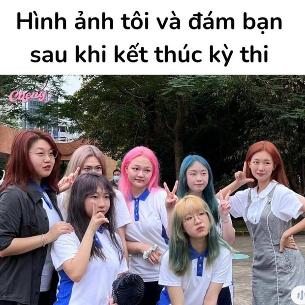 Thí sinh khoanh thận thuộc hệ hô hấp và những hình ảnh đặc sản mùa thi - Ảnh 8.