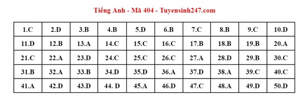 Cập nhật đáp án môn Tiếng Anh kỳ thi tốt nghiệp THPT 2023 - Ảnh 1.