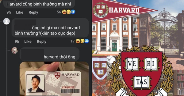 Hội con nhà người ta flex “Harvard cũng bình thường mà nhỉ”, …