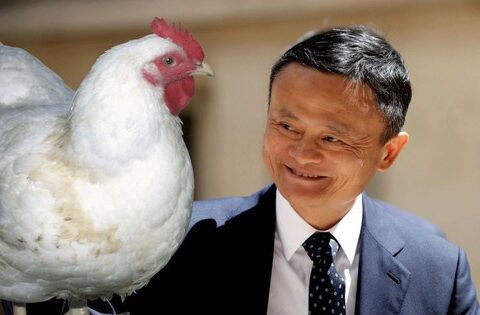 Cô gái quê gửi tặng Jack Ma một con gà mái để đổi lại một …