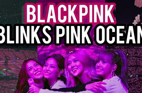 Kinh nghiệm dành cho fan đi concert BLACKPINK ngày 2