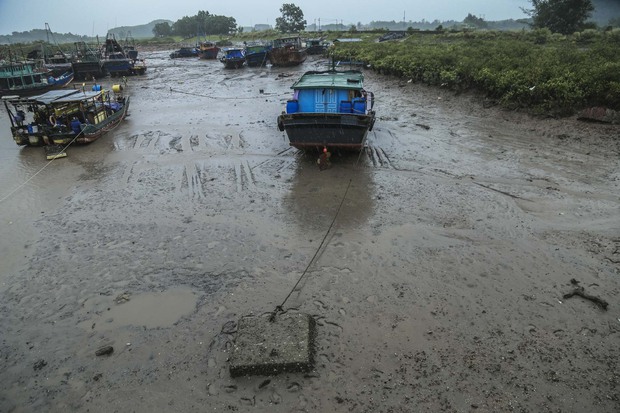 Bão số 1 tiến vào đất liền: Người dân Quảng Ninh gia cố nhà cửa, neo đậu tàu thuyền - Ảnh 7.