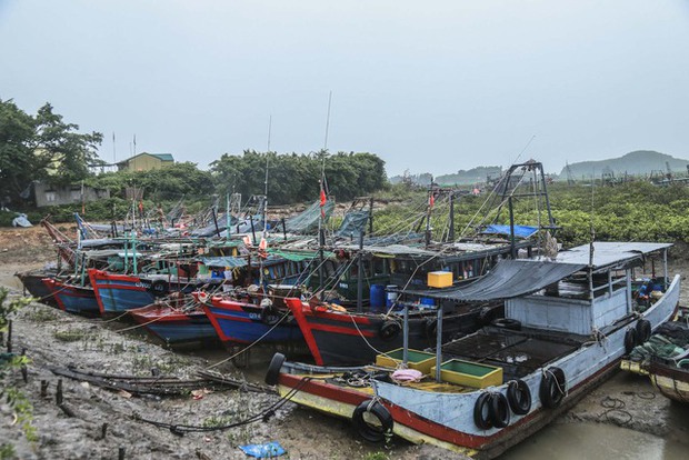 Bão số 1 tiến vào đất liền: Người dân Quảng Ninh gia cố nhà cửa, neo đậu tàu thuyền - Ảnh 5.