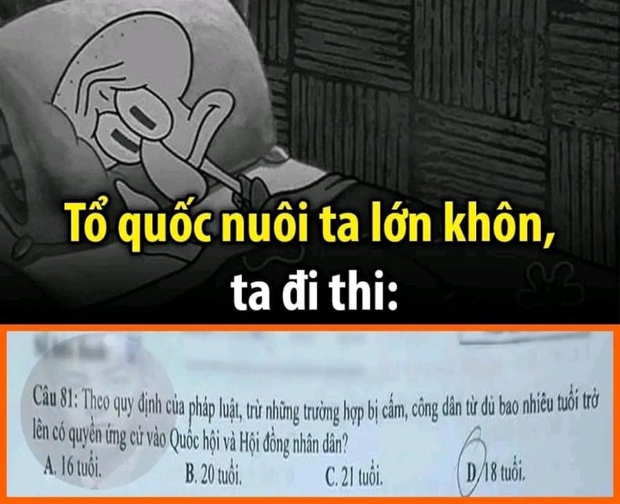 Cười lăn với loạt ảnh chế trước ngày biết điểm thi tốt nghiệp THPT - Ảnh 5.