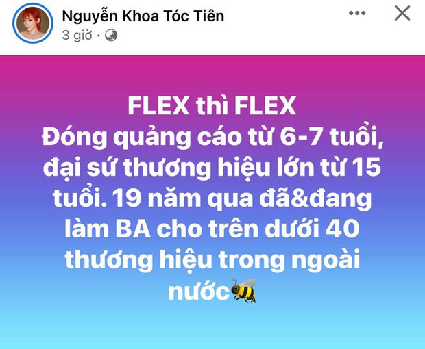 Sao nữ Vbiz flex đến nơi đến chốn: Làm đại sứ cho 40 thương hiệu, thi Đại học ẵm luôn điểm 10 - Ảnh 2.