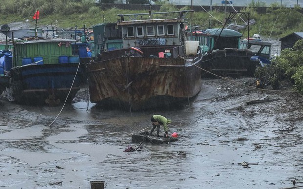 Bão số 1 tiến vào đất liền: Người dân Quảng Ninh gia cố nhà cửa, neo đậu tàu thuyền - Ảnh 12.