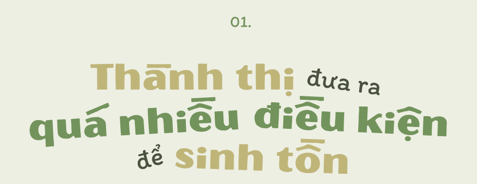 Thành thị đưa ra quá nhiều điều kiện để sinh tồn, nhiều người đem hết tài sản “lên đồi xuống biển” để sống vui trước đã - Ảnh 2.