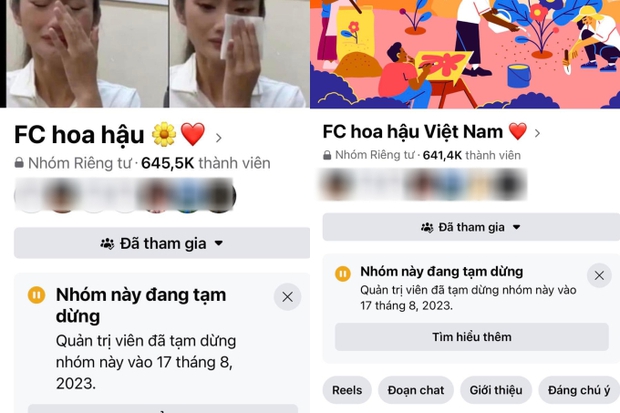 Hội antifan Hoa hậu Ý Nhi hơn 600 nghìn thành viên bất ngờ đổi tên - Ảnh 2.