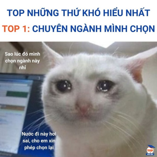 Hài hước ảnh chế trước ngày tân sinh viên nhập học - Ảnh 4.