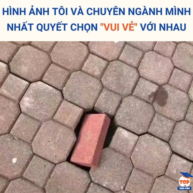 Hài hước ảnh chế trước ngày tân sinh viên nhập học - Ảnh 3.