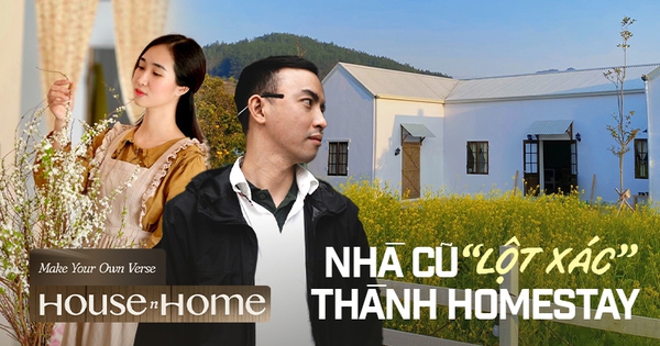 Thuê nhà cũ rồi tự tay sửa thành homestay kiếm tiền