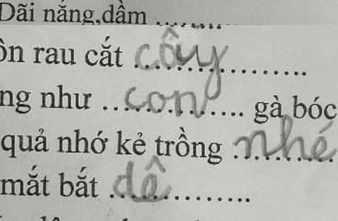 Bài kiểm tra tiếng Việt lớp 1 khiến người lớn ngậm ngùi “khó …