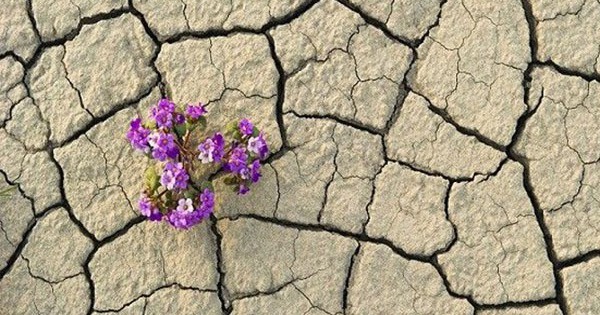 Nguyên nhân gây khô âm đạo và cách cải thiện