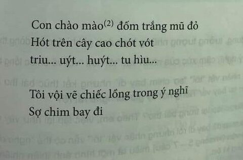 Thêm một bài thơ trong SGK lớp 6 trở thành tâm điểm tranh …