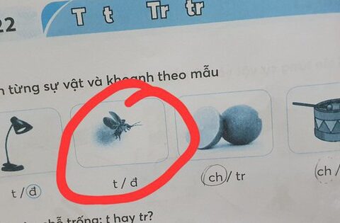 Bức ảnh trong vở bài tập tiếng Việt của học sinh lớp 1 gây tranh cãi: …