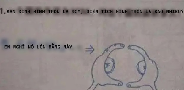 Học sinh cấp 1 làm bài toán tính diện tích hình tròn, nhìn đáp án mà cô giáo vừa tức, vừa ôm bụng cười ngặt nghẽo - Ảnh 1.