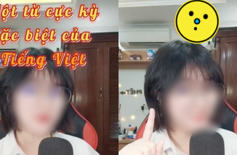 Từ tiếng Việt đến người Việt cũng phải “lú” vì có 7749 …