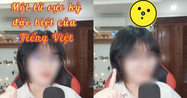 Từ tiếng Việt đến người Việt cũng phải “lú” vì có 7749 …