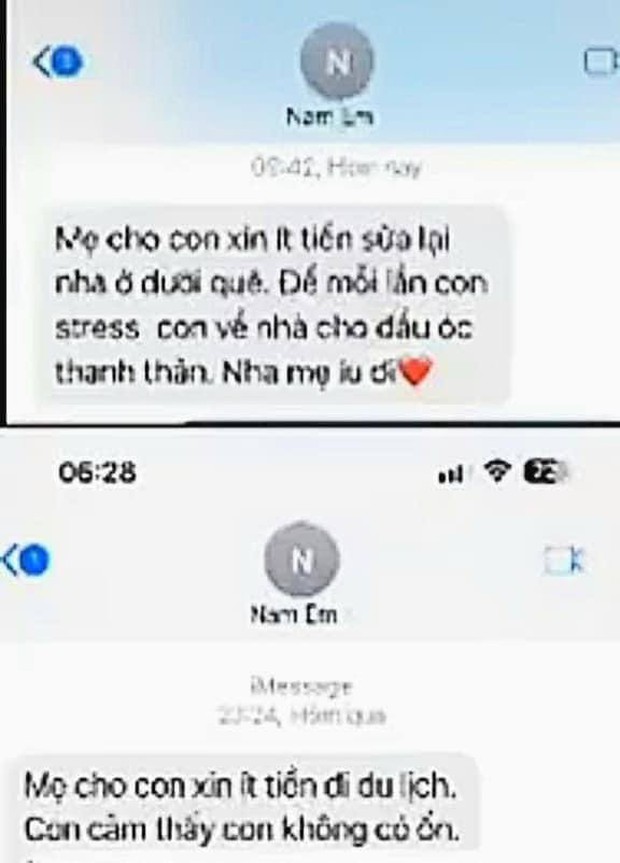 Rầm rộ tin nhắn Nam Em xin tiền mẹ nuôi, nhanh chóng đổi thái độ khi bị ngăn cấm yêu chồng sắp cưới - Ảnh 3.