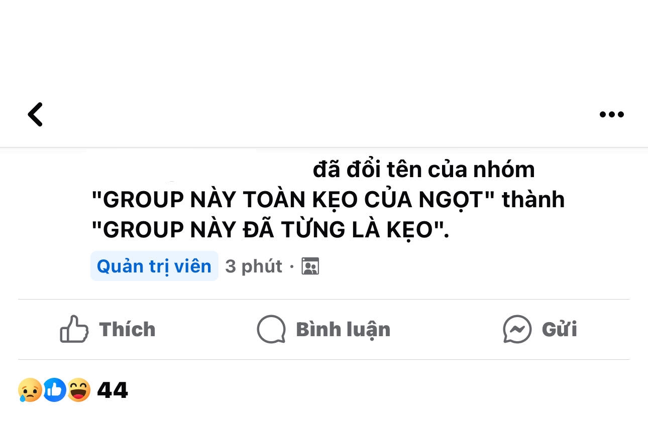 Group fan gần 100 nghìn thành viên của Ngọt đổi tên, ngừng hoạt động sau loạt ồn ào chấn động của Thắng! - Ảnh 3.