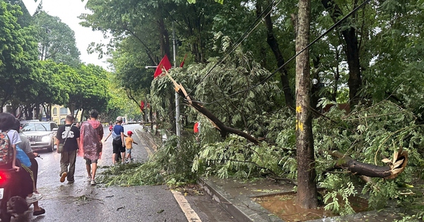 Trực tiếp: Siêu bão gây mưa lớn ở Hà Nội, cây đổ đè chết người