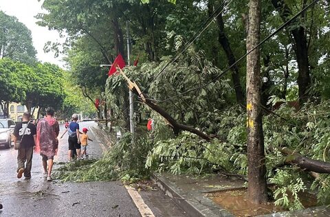 Trực tiếp: Siêu bão gây mưa lớn ở Hà Nội, cây đổ đè chết người