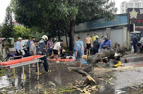 Thông tin vụ cây xanh đổ trúng hai người đi xe máy ở Hà Nội, một phụ nữ tử vong