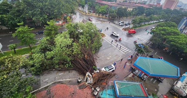 Toàn cảnh Hà Nội ngay trước khi bão YAGI đổ bộ: Hàng loạt cây xanh bật gốc chắn ngang đường, nhiều bảng biển bị hất tung