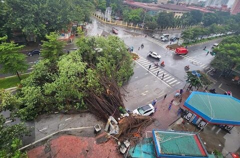 Toàn cảnh Hà Nội ngay trước khi bão YAGI đổ bộ: Hàng loạt cây xanh bật gốc chắn ngang đường, nhiều bảng biển bị hất tung