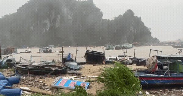 Người mẹ đau đáu nhìn về biển sau cơn bão ở Quảng Ninh: “Giờ tôi không biết con trai và chiếc thuyền đang ở đâu”