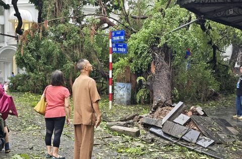 Người dân Hà Nội thẫn thờ trước khung cảnh buổi sáng của Thủ đô sau đêm bão Yagi quần thảo