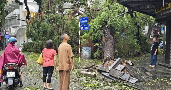 Người dân Hà Nội thẫn thờ trước khung cảnh buổi sáng của Thủ đô sau đêm bão Yagi quần thảo