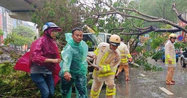 Hà Nội: 3 người chết, 8 người bị thương, gần 2.500 cây đổ do bão Yagi