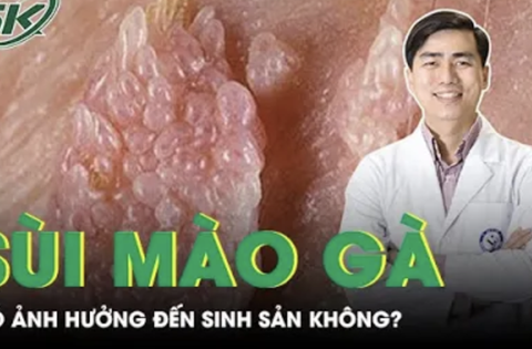 Người từng mắc sùi mào gà có ảnh hưởng đến việc sinh sản không?