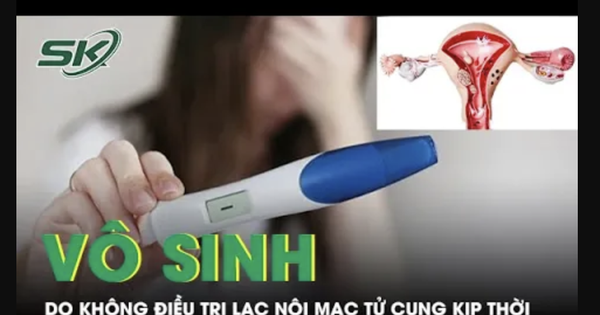 Hệ lụy vô sinh do không điều trị lạc nội mạc tử cung kịp thời