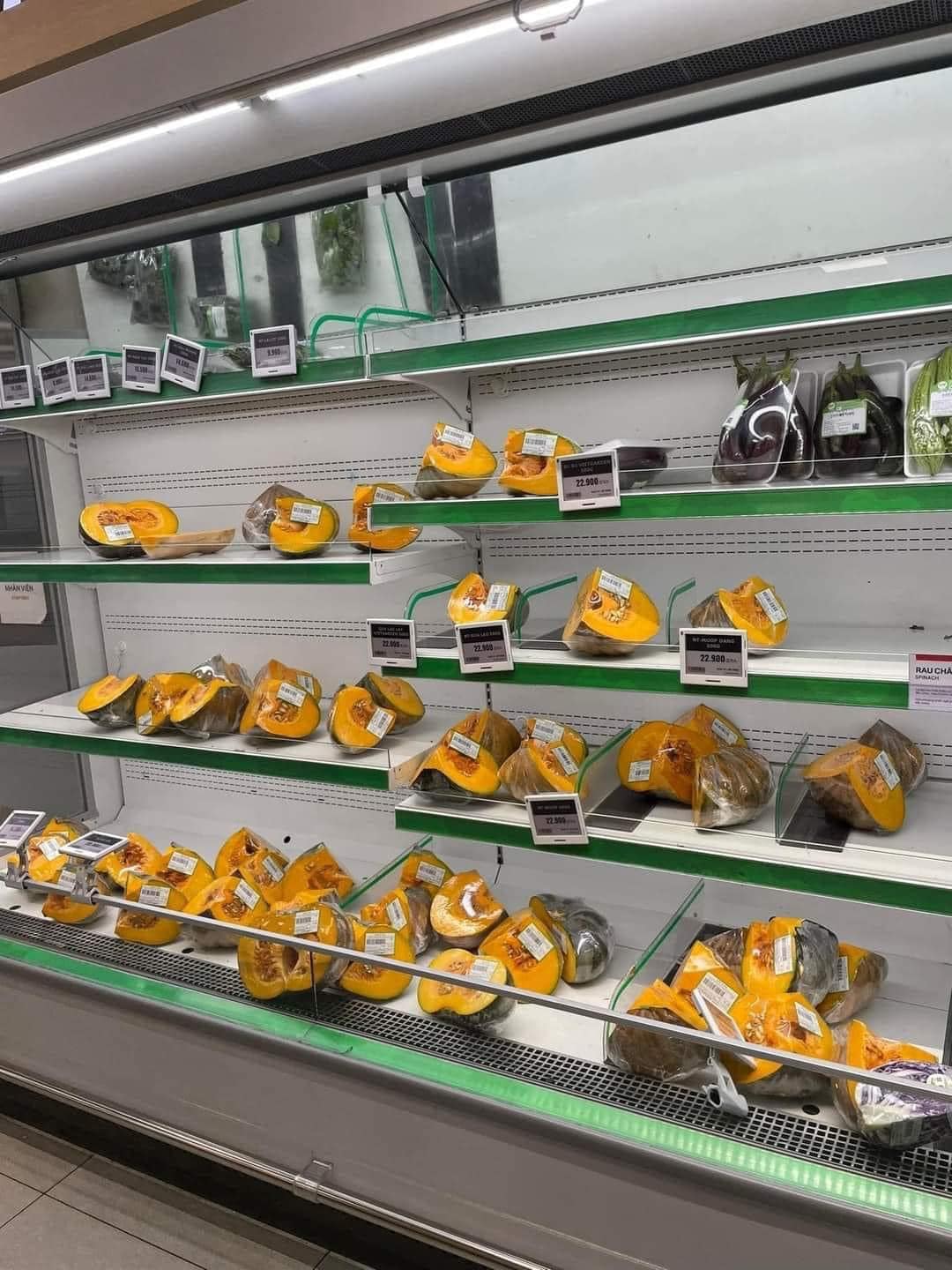 Một siêu thị ở Hà Đông bày bán bắp cải kiểu độc lạ: Cách động viên khách hàng trong bão số 3 quá dễ thương!- Ảnh 5. Một siêu thị ở Hà Đông bày bán bắp cải kiểu độc lạ: Cách động viên khách hàng trong bão số 3 quá dễ thương!- Ảnh 5.