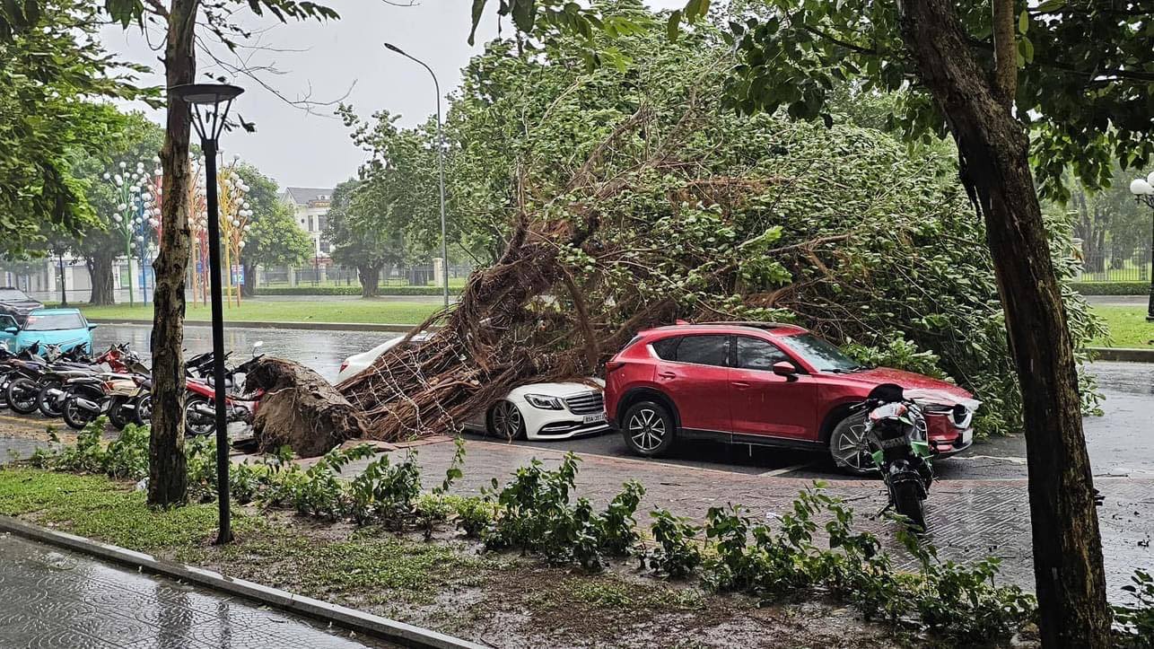 Toàn cảnh Hà Nội ngay trước khi bão YAGI đổ bộ: Hàng loạt cây xanh bật gốc chắn ngang đường, nhiều bảng biển bị hất tung- Ảnh 1.