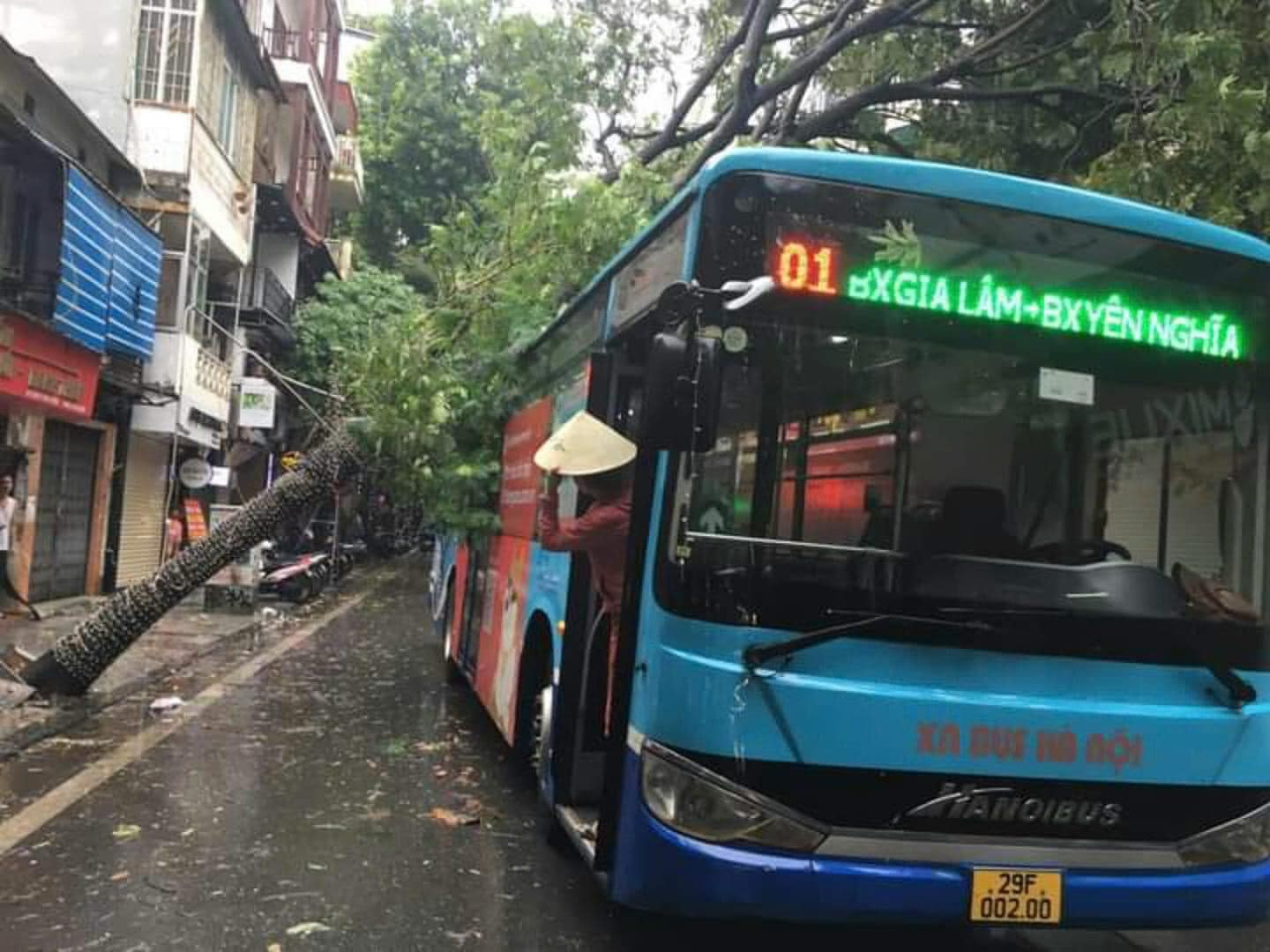 Toàn cảnh Hà Nội ngay trước khi bão YAGI đổ bộ: Hàng loạt cây xanh bật gốc chắn ngang đường, nhiều bảng biển bị hất tung- Ảnh 9.