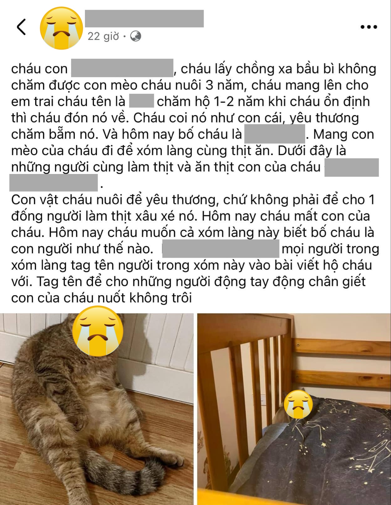 Vụ bố thịt mèo con gái nuôi 3 năm, đem chia cho hàng xóm ăn: Điều đau khổ nhất nằm sau câu chuyện gây rúng động- Ảnh 1.